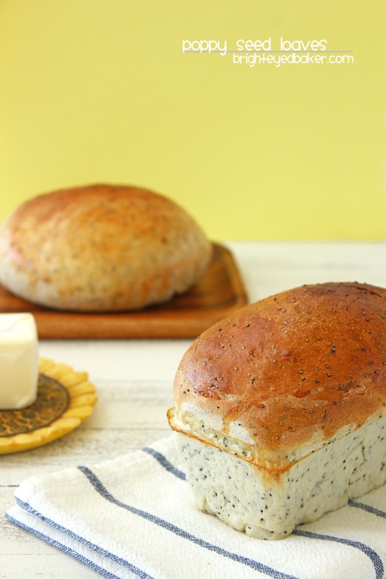 Poppy Seed Loaves