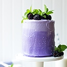 Mini Marble Layer Cake (and Cupcakes!) with Blackberry Cream Cheese Frosting | www.brighteyedbaker.com