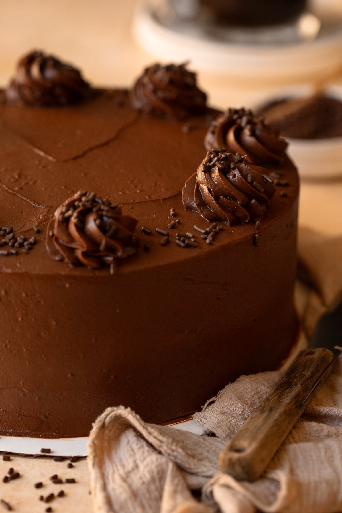 A double-layer chocolate cake topped with piped frosting and chocolate sprinkles.