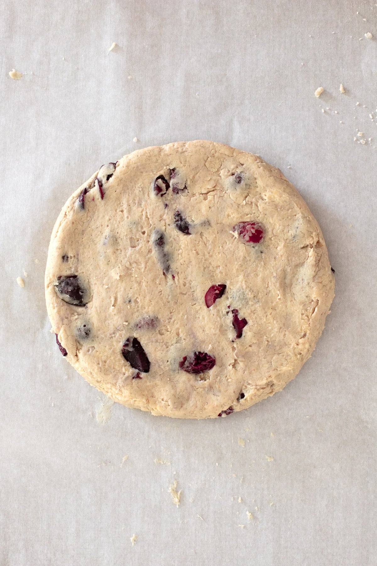 Scone dough shaped into a round disc prior to freezing or slicing.